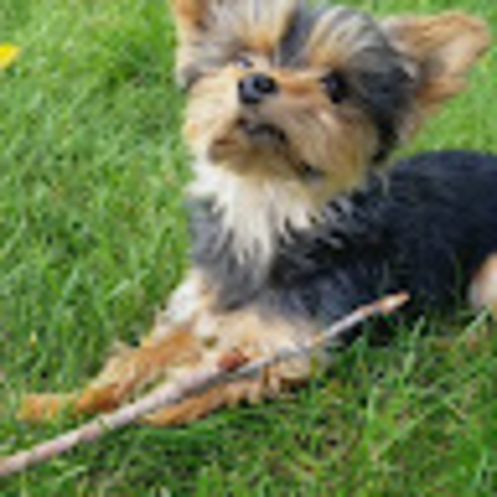 Meet your Posher, Gabi